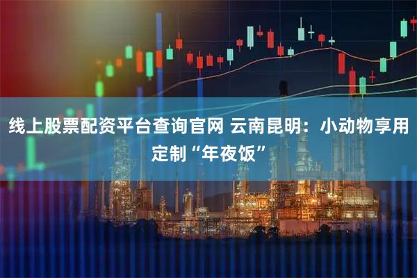 线上股票配资平台查询官网 云南昆明：小动物享用定制“年夜饭”