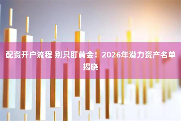 配资开户流程 别只盯黄金！2026年潜力资产名单揭晓