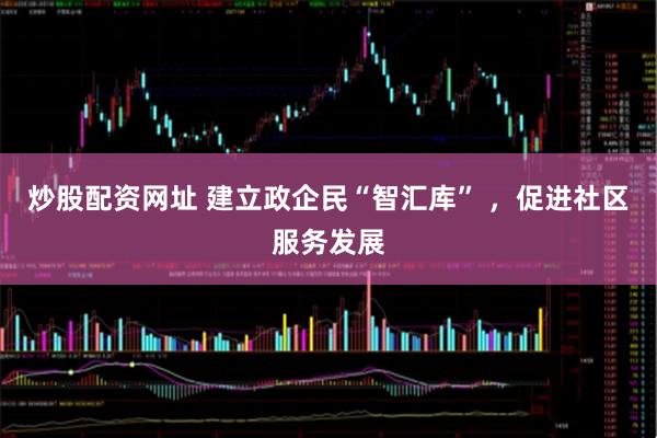 炒股配资网址 建立政企民“智汇库” ，促进社区服务发展