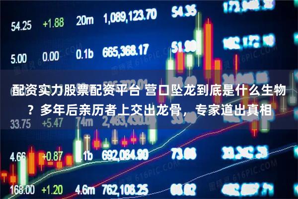 配资实力股票配资平台 营口坠龙到底是什么生物？多年后亲历者上交出龙骨，专家道出真相